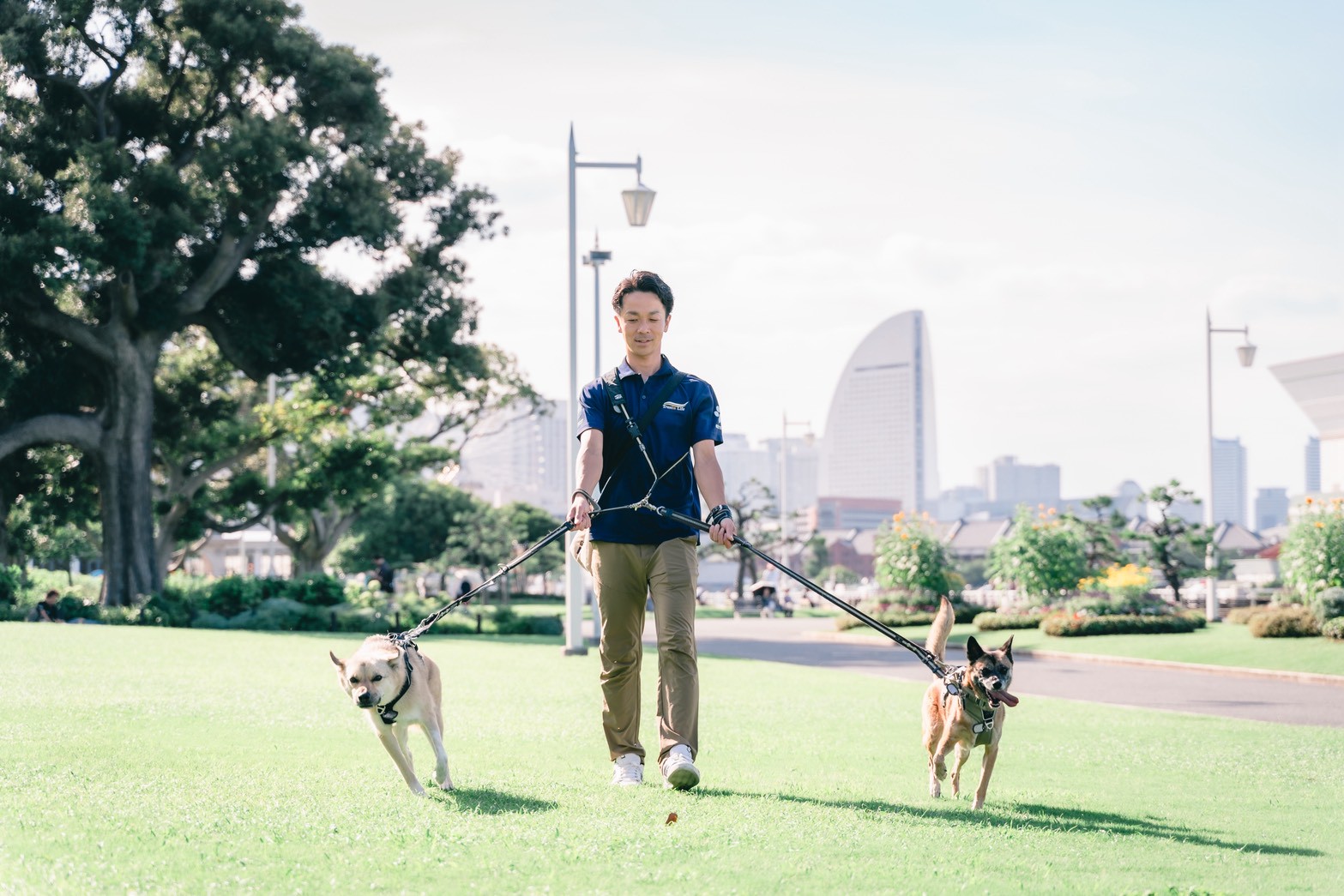 保護犬と散歩するトラスティンライフのスタッフ